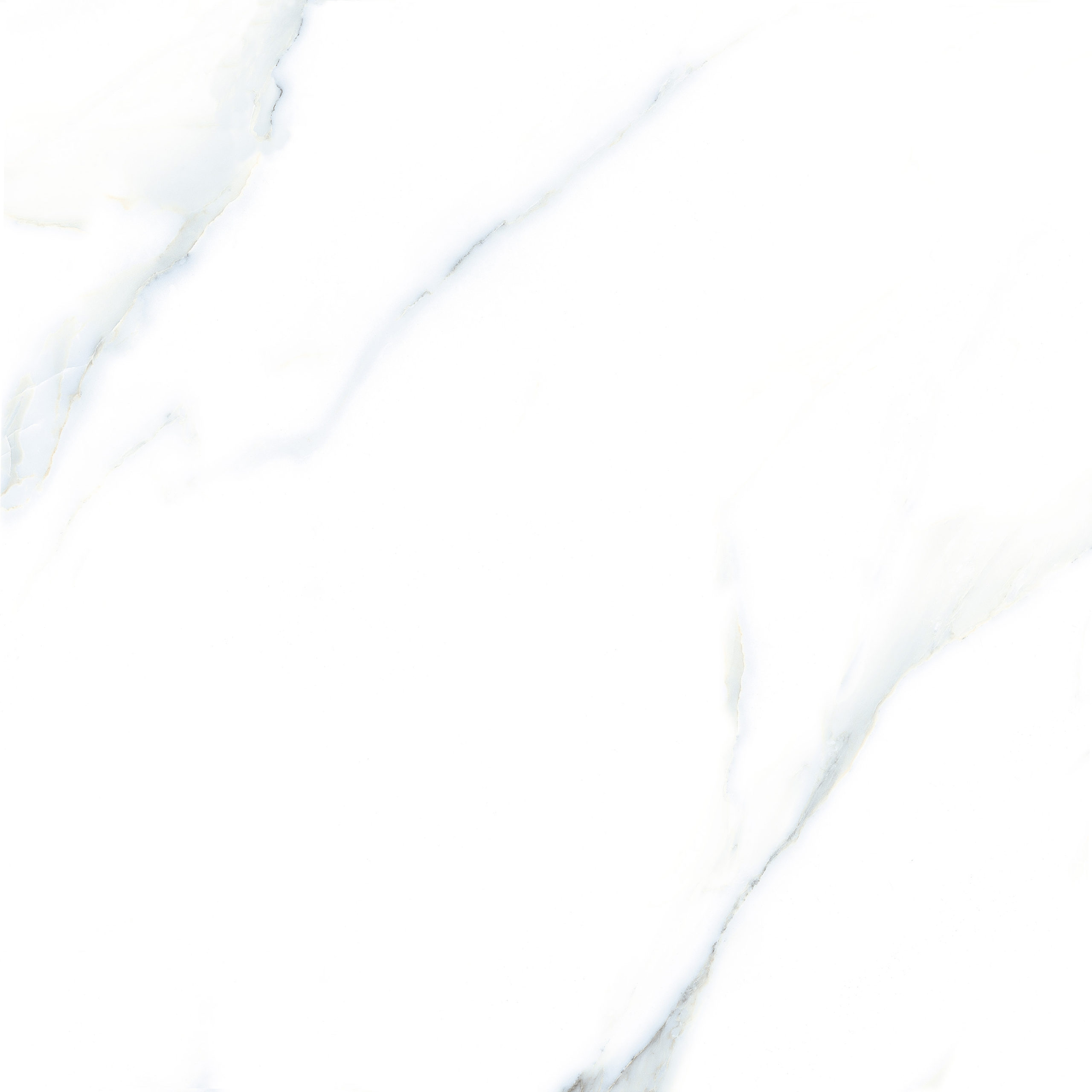 CB6Y036PA-1
