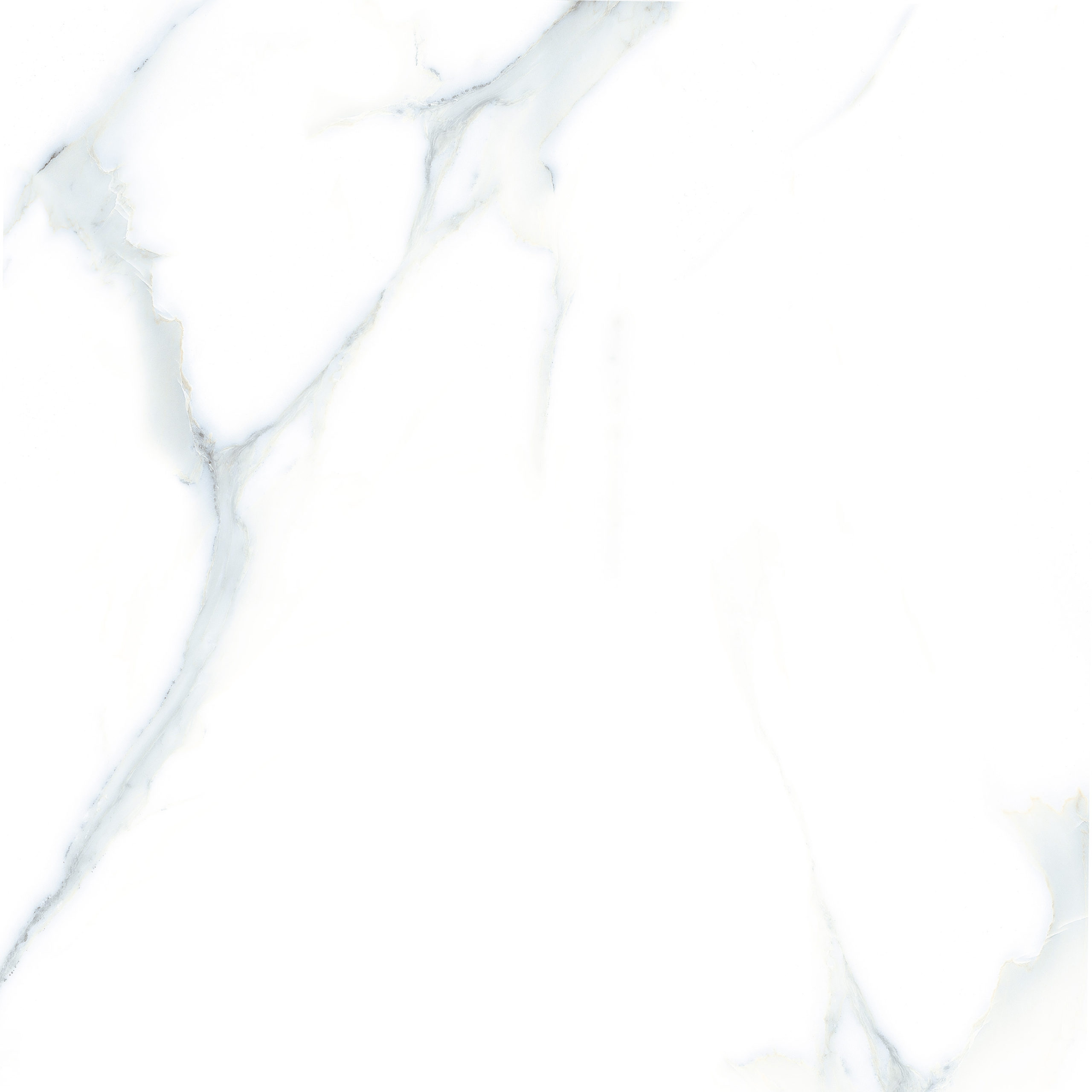 CB6Y036PA-4