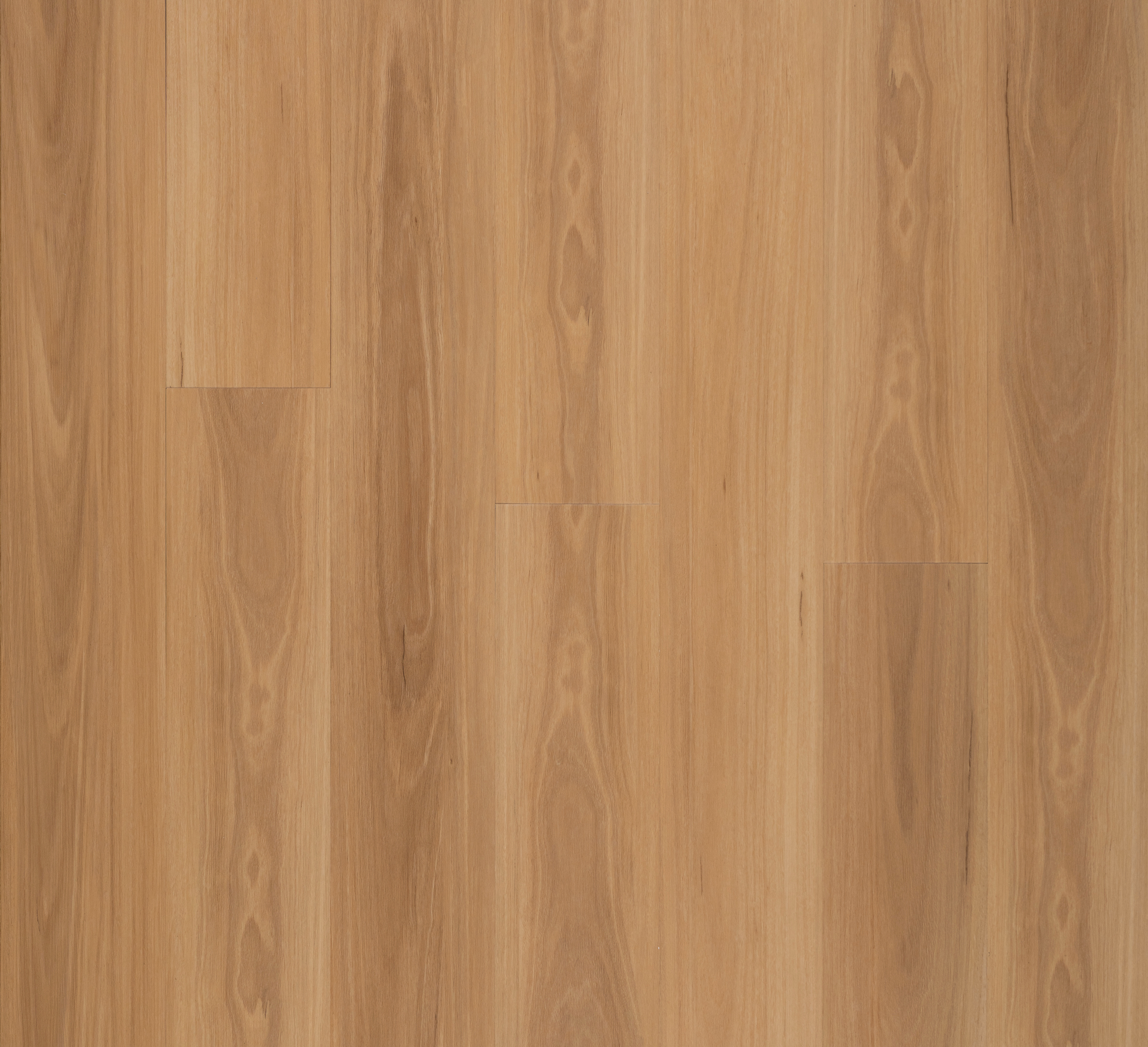 5mm Designer - GELL 50-87 - Black Butt
