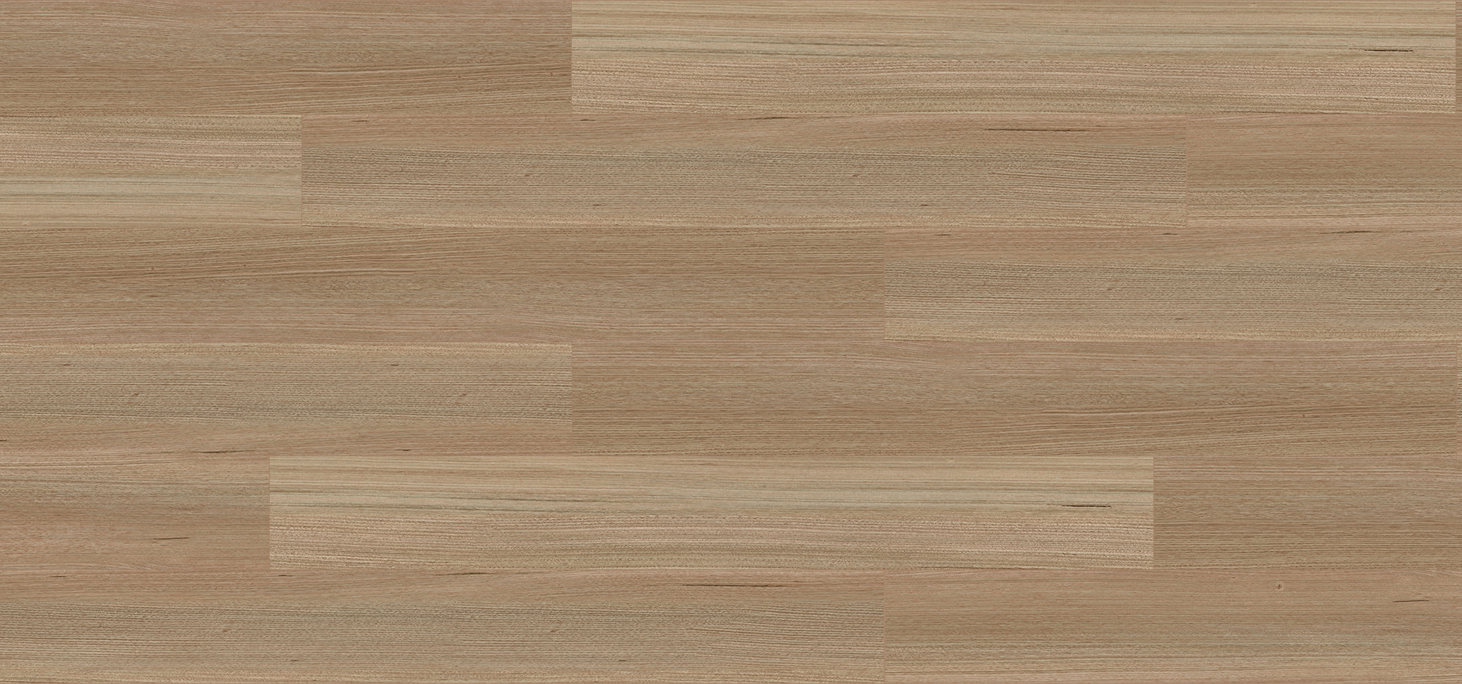 Hybrid SPC Primo 9mm + GESPC0931 TASMANIAN OAK