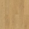GELEAC48007 Mallee Oak (1)-min
