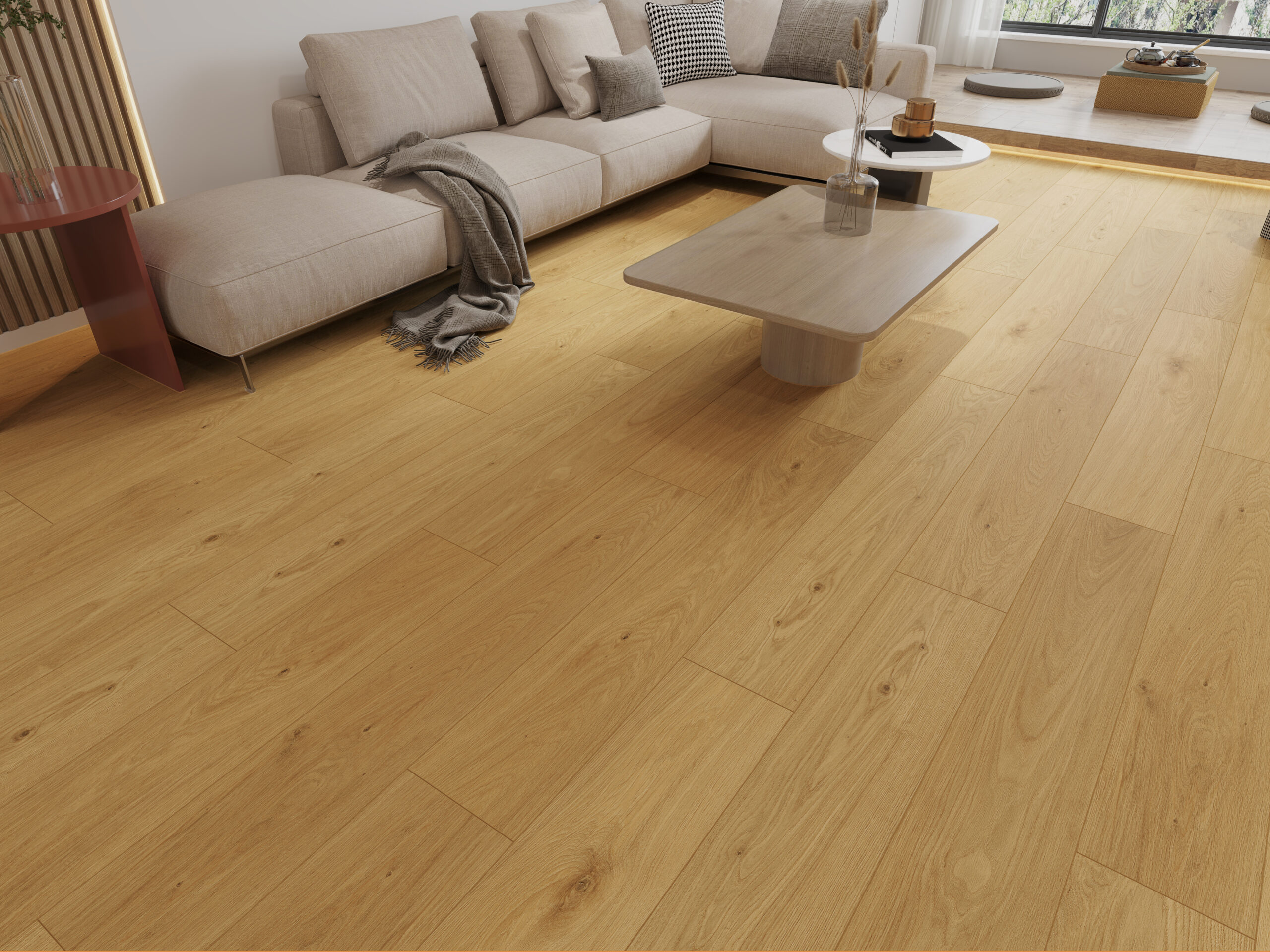 GELEAC48007 Mallee Oak