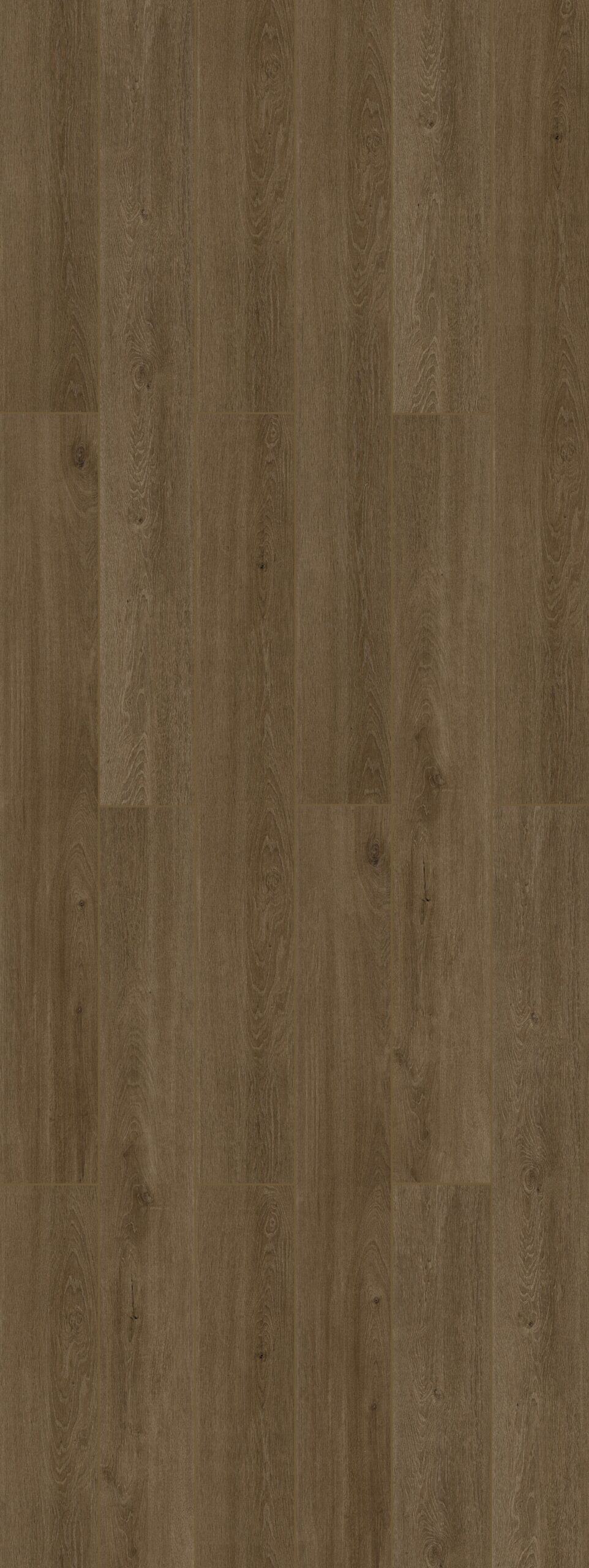 Lakeview AC5 12mm - GELEAC512008 - Smoked Bark