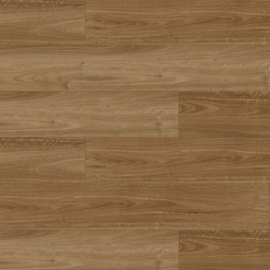 GEDROU-35-12-Spotted-Gum